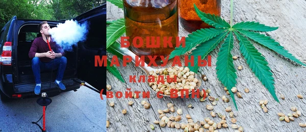 шишки Абаза