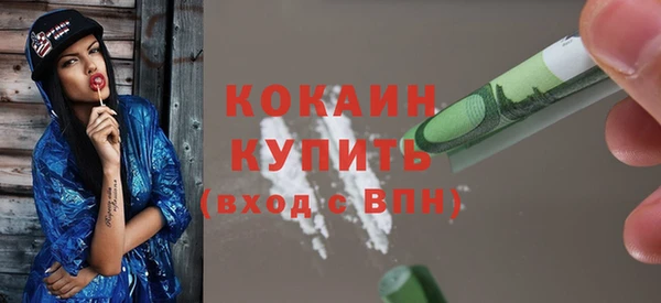 шишки Абаза