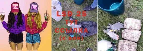 шишки Абаза