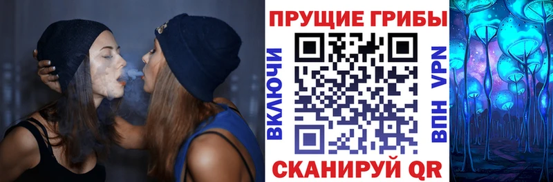 Галлюциногенные грибы Psilocybine cubensis  Лесозаводск 